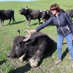 514832638_24256718923932220_9078590011544448046_n